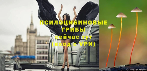 винт Белокуриха
